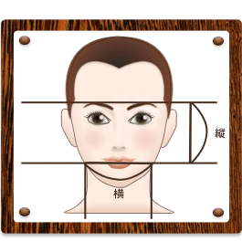 顔型診断スケール